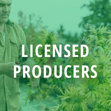 Licensed Producers